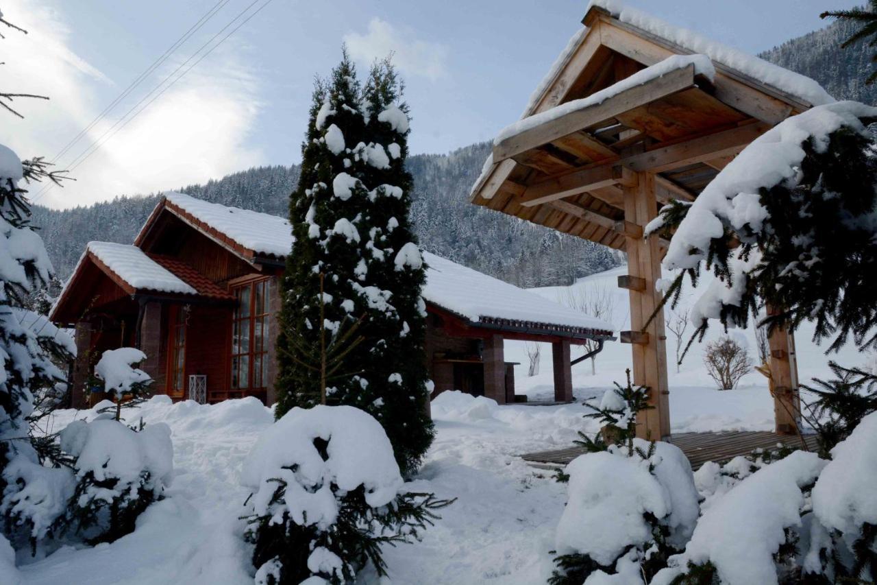 Studio ALPIKA Villa Luče Exterior foto